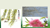 初一语文部编版七年级上册《春》课件（公开课定稿）