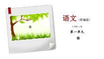 初一部编版七年级语文上册《春》课件（公开课定稿）