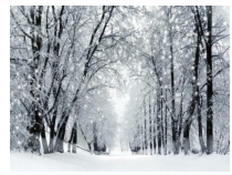 初一语文部编版七年级上册《咏雪》课件（公开课）