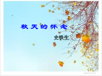 七年级语文部编版初一上册《秋天的怀念》课件（公开课）