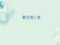 广州七年级语文部编版初一上册《散文诗二首》课件（公开课使用）