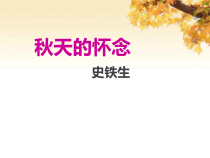 广州七年级语文部编版初一上册《秋天的怀念》课件（公开课）