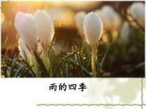 广州七年级语文部编版初一上册《雨的四季》课件（校公开课）