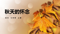 苏州初一语文部编版七年级上册《秋天的怀念》课件（公开课）