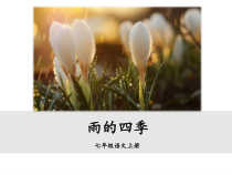 苏州初一语文部编版七年级上册《雨的四季》课件（校公开课）