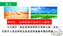 人教部编版七年级语文上册《植树的牧羊人》课件（校际公开课）