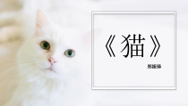 部编版七年级语文上册《猫》课件（厦门公开课）