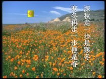 部编版七年级语文上册《走一步，再走一步》课件（厦门公开课）