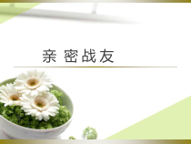 《亲密战友》PPT课件-八年级上册心理健康【甘少儿版】