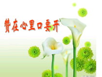 《赞在心里口要开》PPT课件-九年级上册心理健康【甘少儿版】