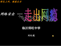 《绿色上网，健康生活》PPT课件-九年级心理健康【华中师大版】
