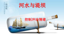 《河水与堤坝》PPT课件-九年级心理健康【华中师大版】