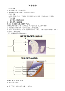 《第二节 种子植物》教学设计1-人教版生物七年级上册