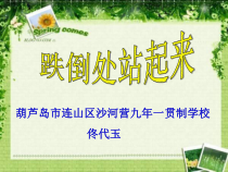 《跌倒处站起来》PPT课件 (3)-九年级心理健康【辽师大版】
