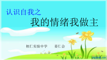 《我的情绪我做主》PPT课件5-九年级心理健康【辽师大版】