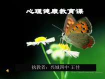 《我的情绪我做主》PPT课件3-九年级心理健康【辽师大版】