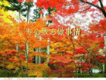 《专心致志做事情》PPT课件 (3)-九年级心理健康【辽师大版】