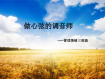 《做心弦的调音师》PPT课件-八年级心理健康【鲁画报版】