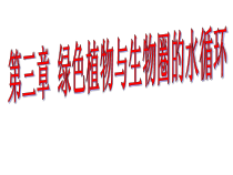 《绿色植物与生物圈的水循环》PPT课件1-人教版生物七年级上册