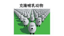 《科学·技术·社会 克隆哺乳动物》PPT课件2-人教版生物七年级上册
