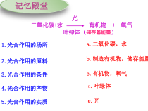 《第二节 绿色植物的呼吸作用》PPT课件1-人教版生物七年级上册
