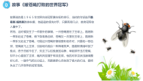 《集中注意力》PPT课件 (2)-九年级心理健康【沈阳版】