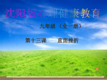 《直面挫折》PPT课件2-九年级心理健康【沈阳版】