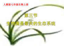 《第三节 生物圈是最大的生态系统》PPT课件1-人教版生物七年级上册