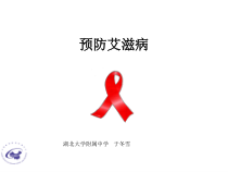 《预防艾滋病》PPT课件 (5)-八年级健康教育【武汉版】