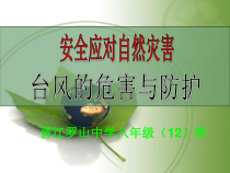 《安全应对自然灾害——台风的危害与防护》PPT课件-八年级健康教育【武汉版】