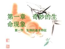 《第一节 生物的特征》PPT课件2-人教版生物七年级上册