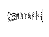 第二十四课《预防艾滋病》PPT课件-八年级健康教育【武汉版】