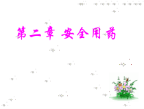 《安全用药》PPT课件-九年级健康教育【武汉版】