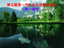 《第一节 光合作用吸收二氧化碳释放氧气》PPT课件2-人教版生物七年级上册