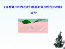 《科学·技术·社会 人类探索微观世界不可缺少的工具——显微镜》PPT课件4-人教版生物七年级上册