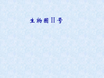 《科学·技术·社会 生物圈Ⅱ号》PPT课件2-人教版生物七年级上册