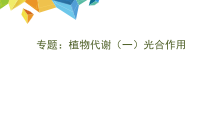 《绿色植物是生物圈中有机物的制造者》PPT课件2-人教版生物七年级上册