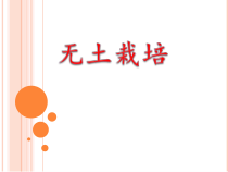 《科学·技术·社会 无土栽培》PPT课件2-人教版生物七年级上册