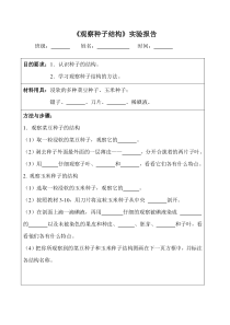 《第二节 种子植物》实验报告-人教版生物七年级上册