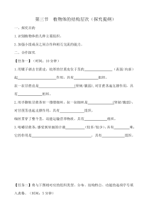 《第三节 植物体的结构层次》学案-人教版生物七年级上册