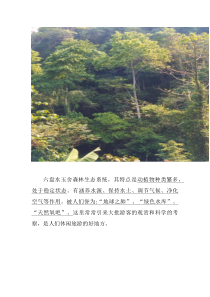 《第三节 生物圈是最大的生态系统 农药的自述》素材-人教版生物七年级上册