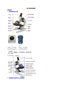 《科学·技术·社会 人类探索微观世界不可缺少的工具——显微镜 练习使用显微镜》新知新讲-人教版生物七年级上册