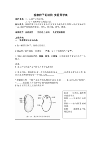 《生物学与文学 寄予植物的情怀》实验导学案-人教版生物七年级上册