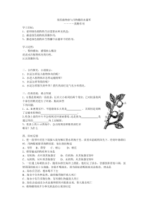《绿色植物与生物圈的水循环》导学案1-人教版生物七年级上册