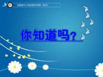 《活动4 轻松输入中文》PPT课件6-七年级上册信息技术【科学社版】