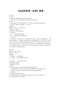《第二节　血流的管道——血管》教学设计2-人教版生物七年级下册
