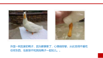《综合实践活动 生活与信息技术-初识3D打印》PPT课件-七年级上册信息技术【川教版】
