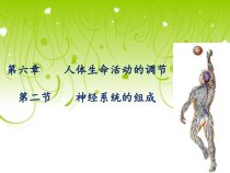 人教版生物七年级下册（课件10份可预览）
