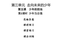 《少年当自强》PPT课件1-统编版九年级下册道德与法治