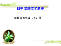 第12课《画图软件使用技巧》PPT课件9-七年级上册信息技术【川教版】